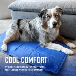 Scratcher Supplier - Sisal Mat Board Nail Sharpen Sofa Protector