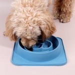 Stainless Bowl Supplier - Double Bowls with Raised Stand Non-slip