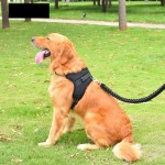 Harness Leash Factory - Soft Adjustable Vest Easy Control Breathable