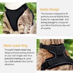 Deworming Collar Factory - Adjustable Anti Flea Tick Prevention Necklace