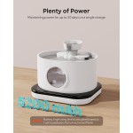 Dog Door Factory - Medium Pet Flap Compatible Safe Replace Security