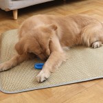 Pet Pad Factory - Summer Woven Breathable with Pillow Self Cooling