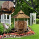 Wooden Feeder Factory - Durable Transparent House Bird Feeder