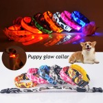 LED Collar Manufacturer - Waterproof Rechargeable Pet Safety Collar Light