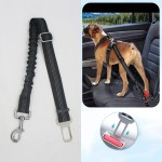 Dog Leash Manufacturer - Retractable with LED Light Walking Outdoor