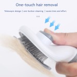 Water Spray Brush Supplier - 3-in-1 Rechargeable Pet Steam Brush Comb