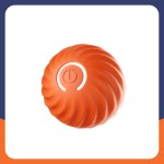 Electronic Pen Supplier - USB Rechargeable Red Dot Laser Cat Toy