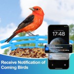 Automatic Feeder Factory - Solar Light Power Glass Tube Bird Feeder