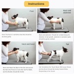 Grooming Brush Manufacturer - Self Cleaning Automatically Dog Cat Slicker