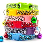 Pet Harness Supplier - Ultra Light Escape Proof Kitten Collar Walking