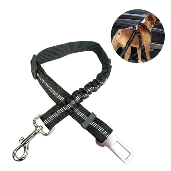 Dog Leash Manufacturer - Retractable with LED Light Walking Outdoor