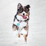 Mini Pet Tracker Manufacturer - Smart Key Finder with Holes Car Locator