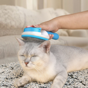 宠物梳厂家-特殊浮毛神器硅胶毛发刷塑料