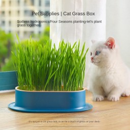 Pet Grass Kit Manufacturer - New Eco-Friendly Ceramic Potted Cat Grass Planting