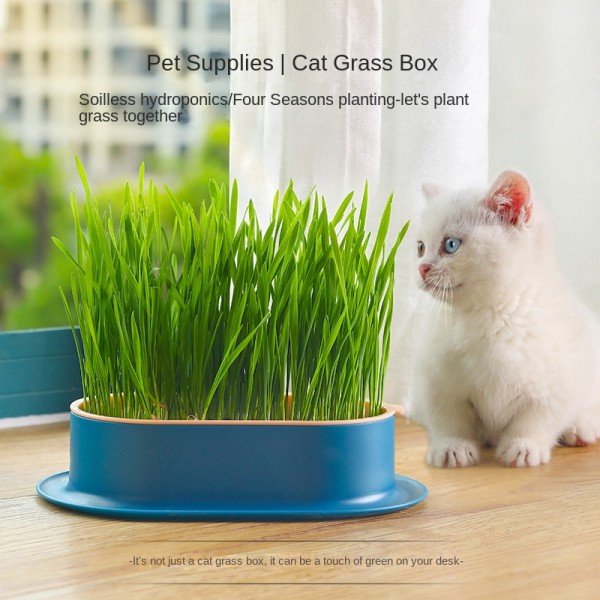 Pet Grass Kit Manufacturer - New Eco-Friendly Ceramic Potted Cat Grass Planting