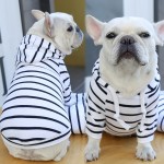 Pet Hoodie Manufacturer - Striped Classic Style Winter Fighting Clothes