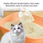 Cat Litter Supplier - Green Eco-friendly Tofu Deodorizing Fine Dust Self-cleaning