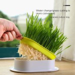 Pet Grass Kit Manufacturer - New Eco-Friendly Ceramic Potted Cat Grass Planting