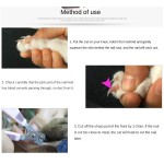 Dog Nail Trimmer Supplier - Direct Factory Professional Stainless Steel