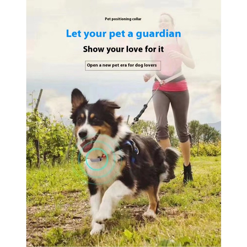 GPS Collar Factory - Beidou IP67 4G Network Smart Metal Plastic Tracker