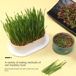 Pet Grass Kit Manufacturer - New Eco-Friendly Ceramic Potted Cat Grass Planting