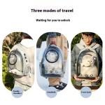 Cat Backpack Supplier - New Fashion Transparent Nylon Large Capacity