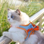 Pet Traction Rope Manufacturer - Fashionable Nylon Vest Lovely Style Walking Gear