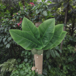 Cat Toy Manufacturer - Luxury Modern Wood Sisal with Hemp Rope Scratch Board