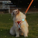 Pet Traction Rope Manufacturer - Fashionable Nylon Vest Lovely Style Walking Gear