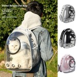 Cat Backpack Supplier - New Fashion Transparent Nylon Large Capacity