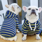 Pet Hoodie Manufacturer - Striped Classic Style Winter Fighting Clothes