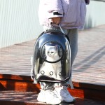 Travel Bag Supplier - Portable Transparent Cat Nest Foldable Outdoor