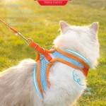 Pet Traction Rope Manufacturer - Fashionable Nylon Vest Lovely Style Walking Gear