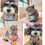 Pet Wipes Manufacturer - Wholesale Cute Various Styles Festival Scarves Polyester