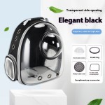 Cat Backpack Supplier - New Fashion Transparent Nylon Large Capacity