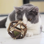 Cat Chew Toy Supplier - Rarewe Eco-Friendly Silvervine Catnip Balls Squeak Bell