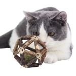 Cat Chew Toy Supplier - Rarewe Eco-Friendly Silvervine Catnip Balls Squeak Bell