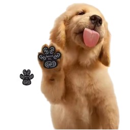 Dog Paw Protector Manufacturer - Anti-Slip Heat-Resistant Waterproof Foot Sticker