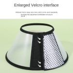 Elizabeth Collar Supplier - Cartoon-Style Personalized Anti-Scratch Ribbon