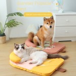 Pet Kennel Supplier - Striped Popsicle Detachable Kennel Pillow Spring Summer