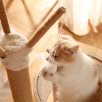 Cat Tree Supplier - Modern Large with Integrated Nest Sisal Toy Jumping Platform