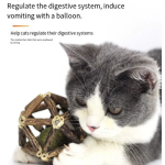 Cat Chew Toy Supplier - Rarewe Eco-Friendly Silvervine Catnip Balls Squeak Bell