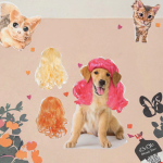 Pet Wig Supplier - Realistic Simulated Hair Costume Adjustable Fit Colorful