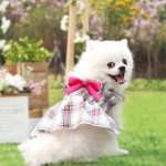 Pet Wedding Dress Factory - Small Medium Plaid Two-Legged Princess Polyester