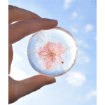 氨基酸皂供应商-代工90克漂白透明花香