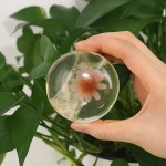 手工皂厂家-永恒莱诺高品质代工美容护理