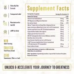 KING MAKER 13-in-1 Anabolic Supplement Capsules Manufacturer for Men Stamina Muscle Growth and Recovery