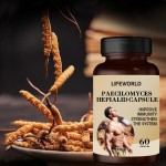 Natural Organic Maca Fertility Capsules for Men Manufacturer to Support Sperm Health