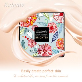 Foundation Cream Manufacturer - Kalenfe Mushroom Head