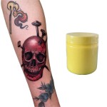 纹身套装厂家 - 批发79.9%化妆色素